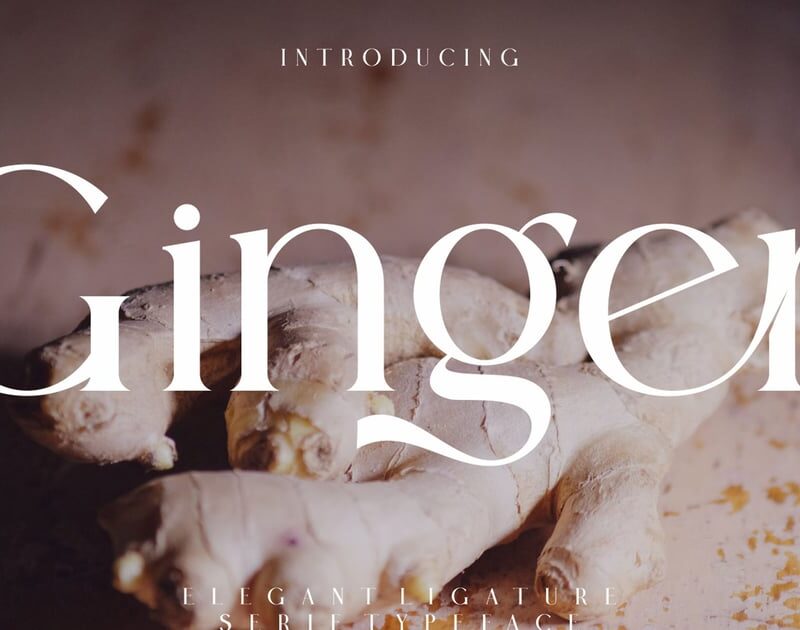 Ginger Elegant Ligature Serif Typeface
