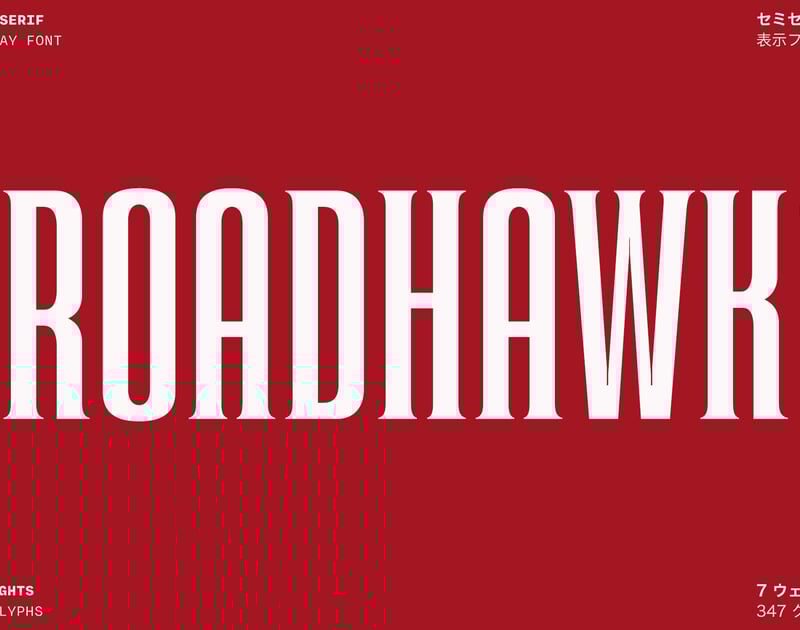 Roadhawk