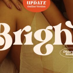 Bright – Modern Luxury Logo