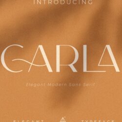 Carla Sans – Elegant Typeface Carla Sans – Elegant Typeface