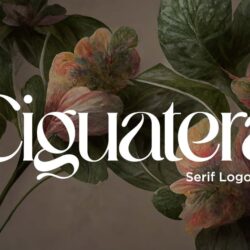 Ciguatera Serif Logo Font Ciguatera Serif Logo Font