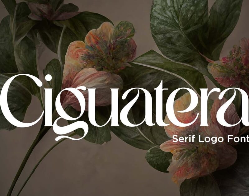 Ciguatera Serif Logo Font