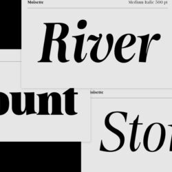 Moisette – 14 Fonts