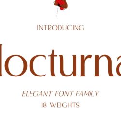 Nocturnal – Sans sang trọng hiện đại Nocturnal – Sans sang trọng hiện đại