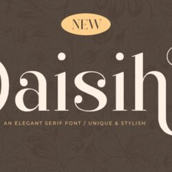 Daisihill – Serif sang trọng thanh lịch