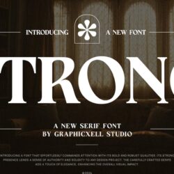 Serif thanh lịch mạnh mẽ – Kiểu chữ đậm cổ điển