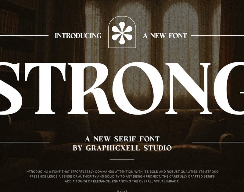 Strong Elegant Serif – Classic Bold Typeface
