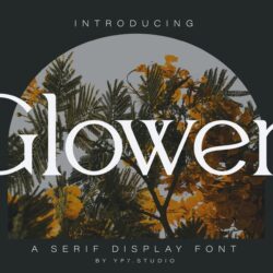 Phông chữ thời trang sang trọng hiện đại