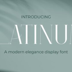 Platinum – Phông chữ sang trọng hiện đại thanh lịch
