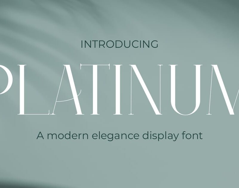 Platinum - Luxury Modern Elegant Font
