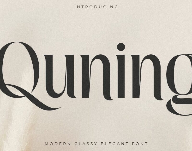 Quning - Modern Classy Elegant Font