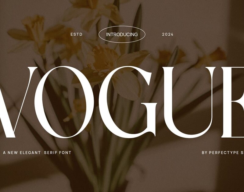 Vogue Elegant Serif Typeface – Classic Luxury Font