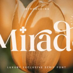 Mirado – Phông chữ Serif độc quyền sang trọng Mirado – Phông chữ Serif độc quyền sang trọng