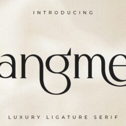 Dangmen – Serif chữ ghép sang trọng Dangmen – Serif chữ ghép sang trọng