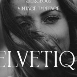 Velvetique – Kiểu chữ sang trọng Velvetique – Kiểu chữ sang trọng