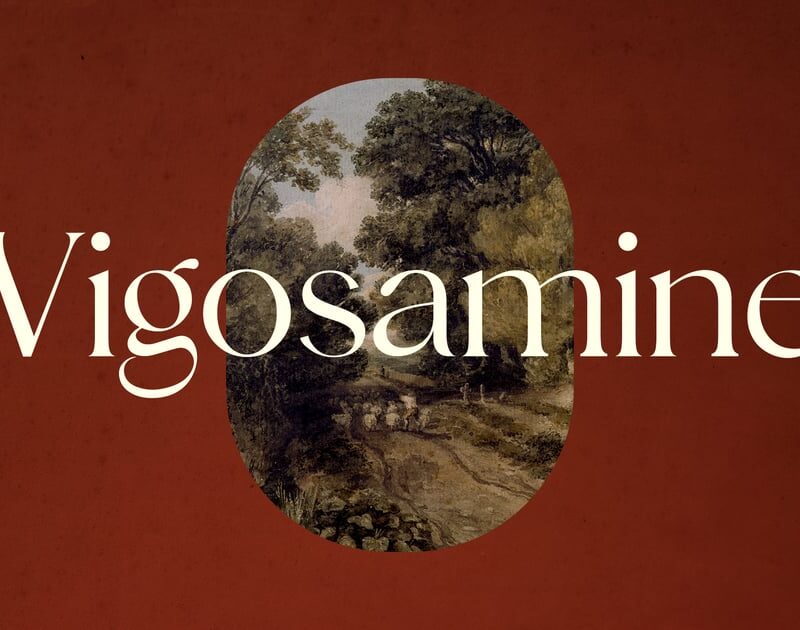 Font chữ Serif sang trọng Vigosamine